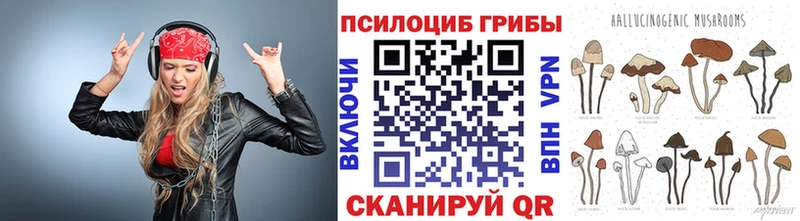 Псилоцибиновые грибы мицелий  Купить закладки  Бежецк 
