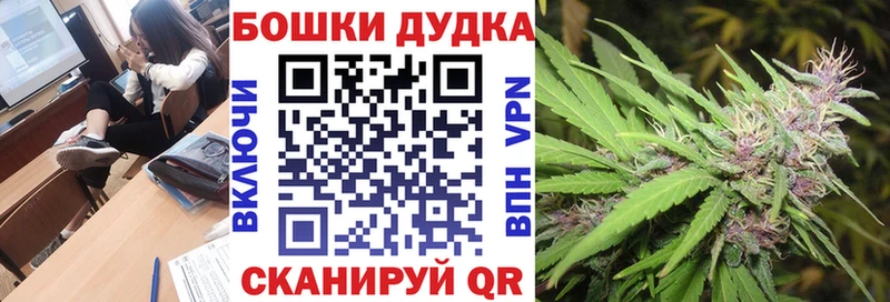 Канабис сатива Купить Бежецк
